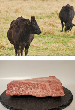 和牛・牛肉